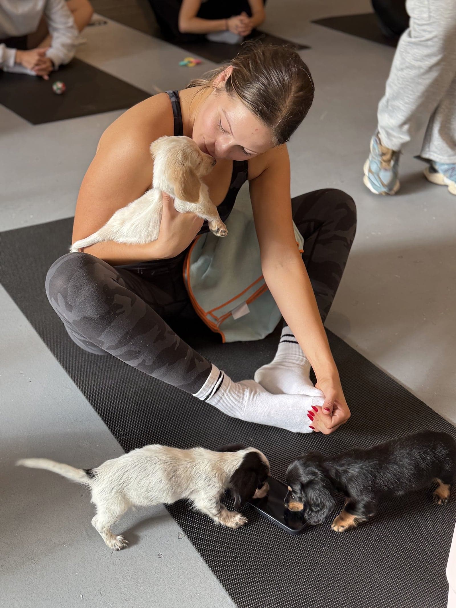 A guest stretching on her mat while dachshund puppies wander past